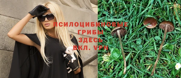 ECSTASY Абаза