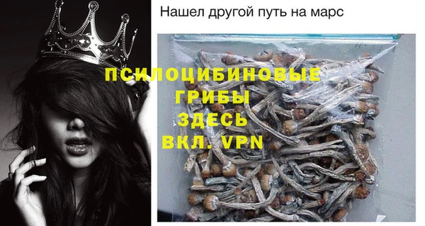 прущие грибы Абинск