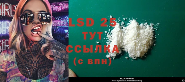 прущие грибы Абинск
