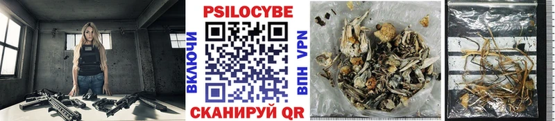 Псилоцибиновые грибы Psilocybine cubensis  Севастополь 